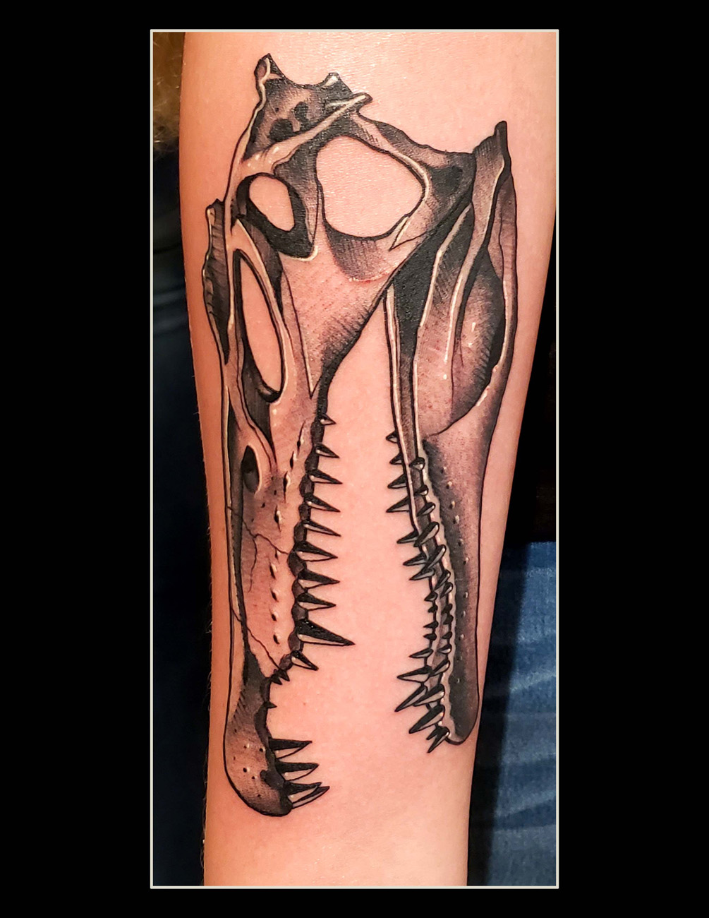 Animal, Skull, Black and Gray, Realism tattoo by Orlando Tattoo Artist -  Jimmy Rogers